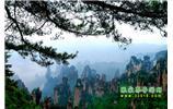 【純玩獨(dú)立成團(tuán)線路1】張家界、袁家界、天子山、寶峰湖/黃龍洞二晚三日