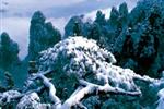 【純玩拼團(tuán)線路18】下午班：鳳凰古城、張家界、天子山三晚四日游