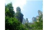 【純玩拼團(tuán)線路 張家界出發(fā)A2線】張家界、袁家界、天子山、金鞭溪、鳳凰古城2晚3日游